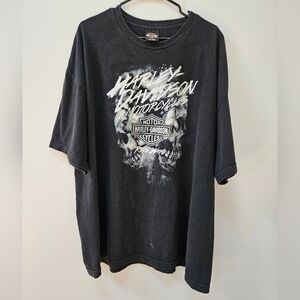 Sweet HARLEY DAVIDSON tee.  3X.  Fits like a 2X.